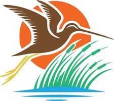A clean flat color illustration of a Snipe birds. vector