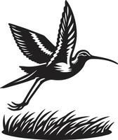 A clean silhouette of a snipe, emphasizing its slender body and long bill. vector