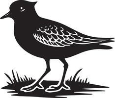 A sleek silhouette image of a plover, capturing its distinct stance and coastal charm vector