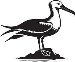 A silhouette image of flying albatross birds, showcasing their majestic wingspan and graceful flight. Ideal for creative designs, nature themes, and decorative art projects. vector