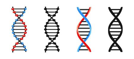 DNA Strand Illustrations in Various Styles vector