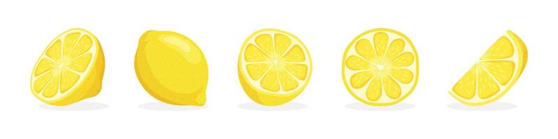 Fresh Lemon Illustrations with Slices vector