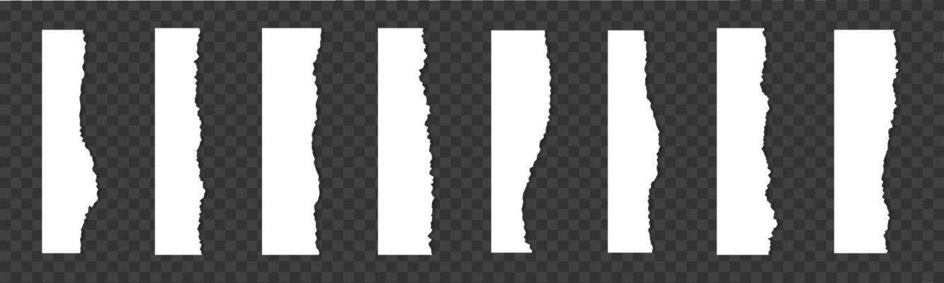 Set of Realistic Torn Paper Edge Templates