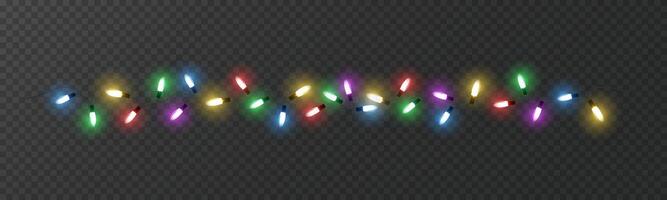 Colorful Christmas Lights String on Transparent Background vector