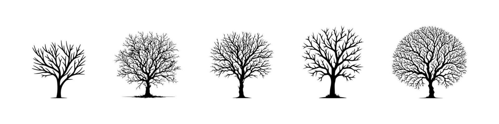 Bare Tree Silhouettes Set