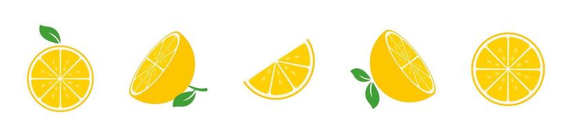 Fresh Lemon Slices with Green Leaves Flat Set vector