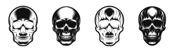 Detailed Skull Illustrations In Sketch Style vector