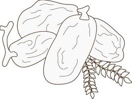 four dates Hand-drawn vector
