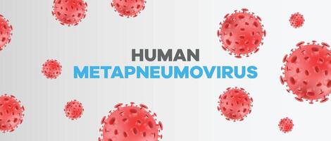 Human metapneumovirus HMPV design with red virus particles and clean white background for healthcare and educational purposes vector