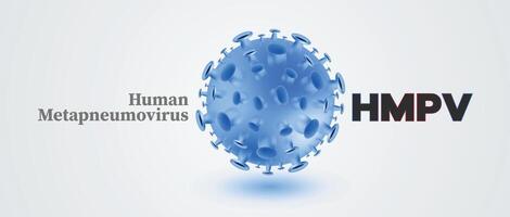 Human metapneumovirus HMPV 3D virus particle design on a light background for medical research and healthcare visuals vector