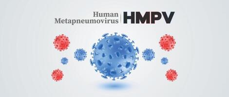 Human metapneumovirus HMPV visualization with 3D virus particles in blue and red on a light background for healthcare and research vector