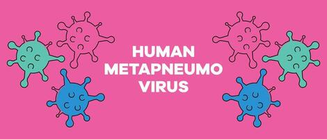 Human metapneumovirus HMPV colorful virus particle design with a pink background for scientific and medical education vector