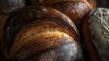 Baking Traditional Flavors with a Fresh Touch photo