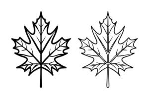 Assortment of Creative Maple Leaf Sketches Featuring Detailed Lines and Unique Outlines for Seasonal Themes vector