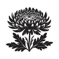 Chrysanthemum Silhouette Graphics for Eco-Friendly and Nature Branding vector