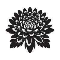 Chrysanthemum Silhouette Illustrations for Art Prints and Digital Graphics vector
