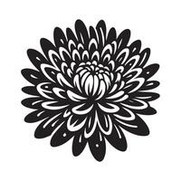 Chrysanthemum Silhouette Illustrations for Botanical Art and Nature Themes vector
