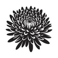 Stylized Chrysanthemum Silhouette Graphics for Art and Illustration vector