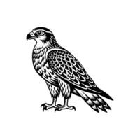 A black and white drawing of a falcon vector