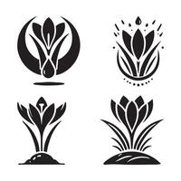 Elegant Crocus Silhouette Illustrations for Logo and Branding Projects vector