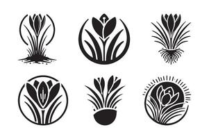 Download Crocus Silhouette Illustrations for Custom and Personal Designs vector