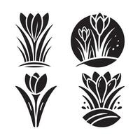 Beautiful Crocus Silhouette Illustrations for Print and Digital Media vector