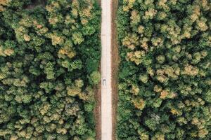 Aerial view of a car traveling down a straight road that slices through a dense forest. photo