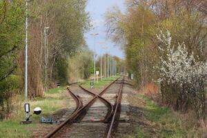 Railroad Track With A Switch photo
