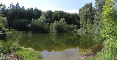 Idyllic small lake in a forest in Mecklenburg-Vorpommern. photo