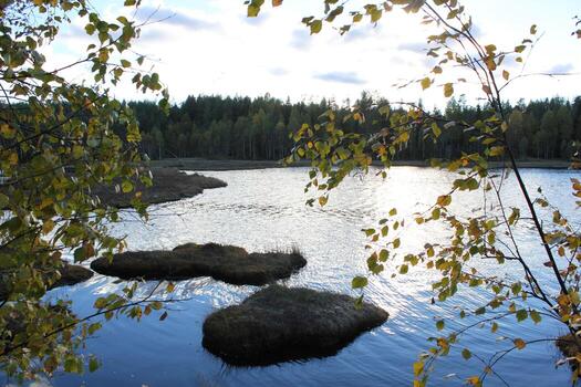 Lake in front of a forest and clouds in Varmland in Sweden. The water displays mirror-like reflections. photo