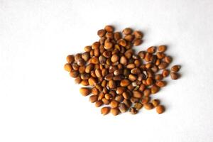 A heap of cultivated radish seeds photo