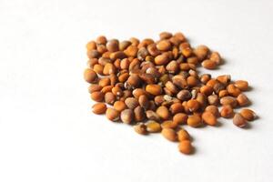 heap of cultivated radish seeds photo