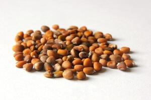 A heap of cultivated radish seeds. photo