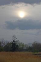 The is covered in fog. Shoot was taken in Greifswald, Mecklenburg-Vorpommern, Germany. photo