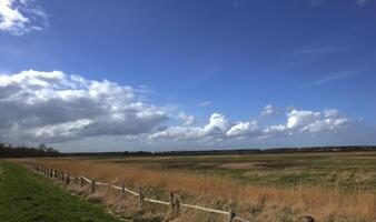 Way on levee through the reed by the river Ryck in Mecklenburg-Vorpommern, Germany. To the side you see a rural landscape and beautiful blue sky. photo