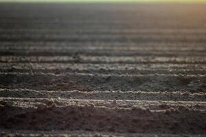 Plowed field in Mecklenburg-Vorpommern, Germany photo