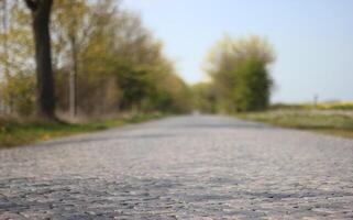 Old paved road between Greifswald and Stralsund, Mecklenburg-Vorpommern in Germany. photo