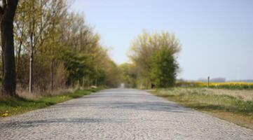 Old paved road between Greifswald and Stralsund, Mecklenburg-Vorpommern in Germany photo