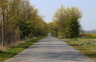 Old paved road between Greifswald and Stralsund, Mecklenburg-Vorpommern, Germany photo