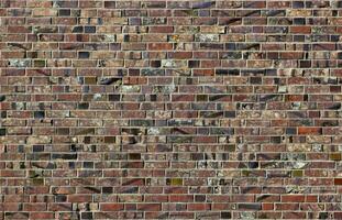Brick texture with different colors and styles. photo