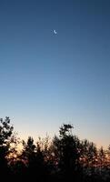 Early in the morning in Sweden, the moon can still be seen. photo