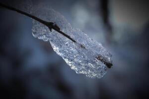 Winter scene with an ice crystal, hanging on an branch of a buch, blueish background and reflections. Vignetting was applied. photo