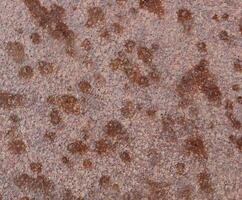 Macro of metal surface with rust speckles. photo