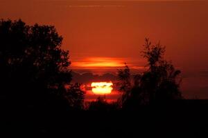 Sun going down on very red burning sky. photo