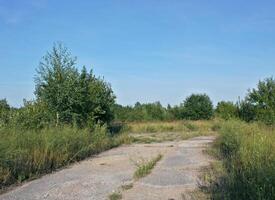 A view of a rural road in Mecklenburg-Vorpommern, Germany photo