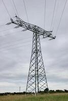 View to the edge of a high voltage power line in Mecklenburg-Vorpommern, Germany photo
