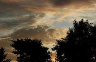 Different impressive and colorful clouds in the morning with some tree silhouettes. photo