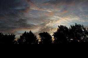 Different impressive and colourful clouds in the morning with some tree silhouettes. photo