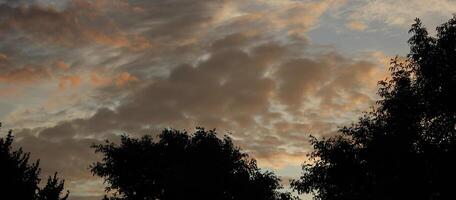 Different impressive and colourful clouds in the morning with tree silhouettes. photo