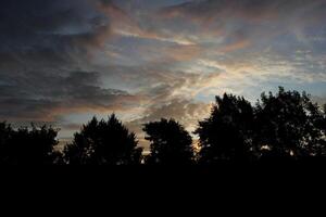 Different impressive and colourful clouds in the morning with tree silhouettes photo
